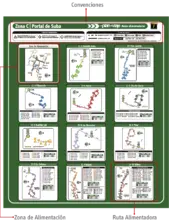 imagen_uso_del_mapa_de_rutas_alimentadoras_1.png
