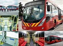 Nuevos biarticulados