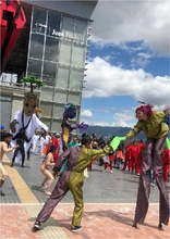 Carnavales transmicable