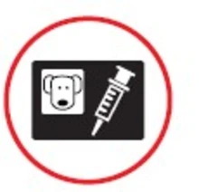 Portar carn&eacute; de vacunaci&oacute;n