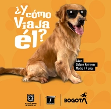 &iquest;Y c&oacute;mo viaja &eacute;l?