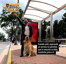 Los animales de compa&ntilde;&iacute;a son bienvenidos en TransMilenio