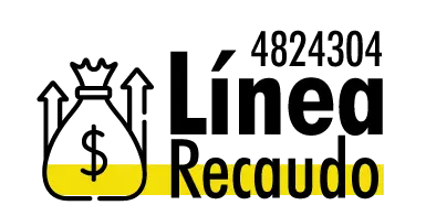 L&Iacute;NEA-DE-RECAUDO