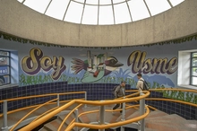 Arte, color y cultura en TransMilenio