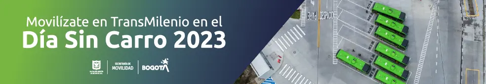 D&iacute;a Sin Carro