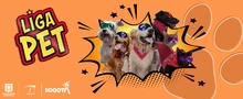 Liga Pet