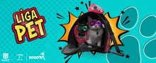 Liga pet