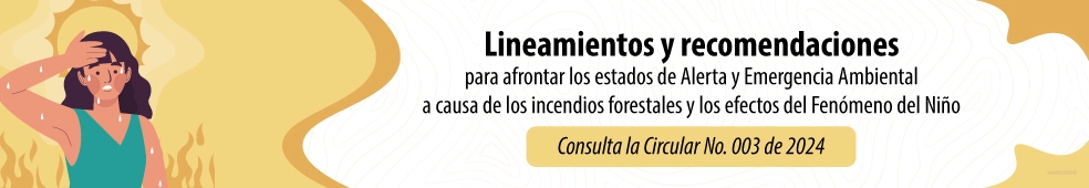 Lineamientos y recomendaciones escritorio