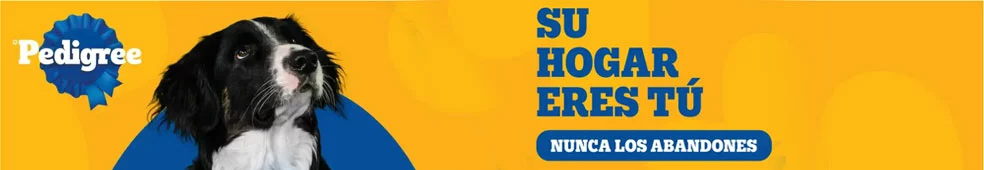 TransMilenio y Pedigree se unen para combatir el abandono animal 