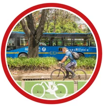 transmibici-D&iacute;a sin Carro-2025