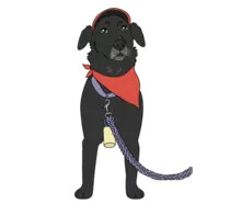 Convi&eacute;rtete en el pr&oacute;ximo Embajador TransMiPet