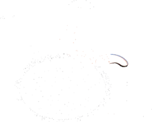 Persona en silla de ruedas