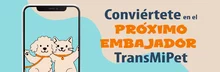 Convi&eacute;rtete-pr&oacute;ximo-embajador-TransMiPet