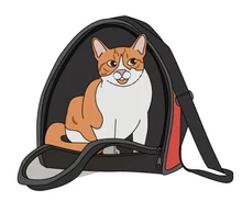 Gato-guacal-TransMiPet