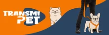 Banner Principal TransMiPet con Animales de compa&ntilde;ia ilustrados
