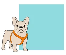 Perro ilustrados con recuadro azul para texto