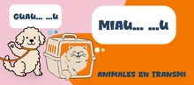 animales-en-TransMi
