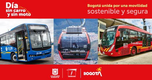 Componentes troncal, zonal y cable