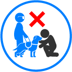 No jugar con perro lazarillo