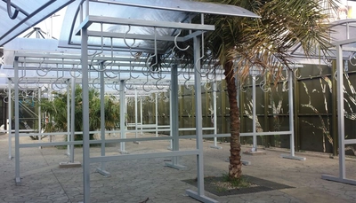 TransMilenio y SITP, listos para movilizar a los bogotanos en el D&iacute;a sin Carro y sin Moto