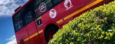 Empiezan a rodar los primeros 140 buses de TransMilenio a gas natural en Bogotá