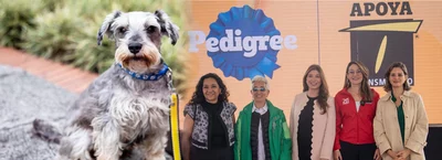 TransMilenio y Pedigree se unen para combatir el abandono animal