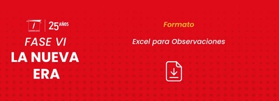Formato Excel para observaciones