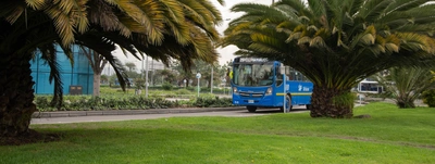 Lecciones Aprendidas