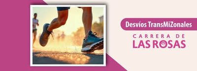 Desvios TransMiZonales por carrera de las Rosas 2025