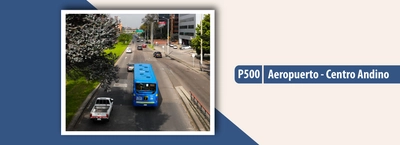 Servicio TransMiZonal P500 dejará de operar los días festivos