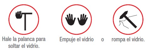 Al interior de los buses