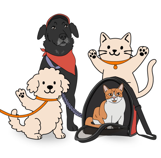 Perro-y-gatos-en-el-sistema-TransMilenio