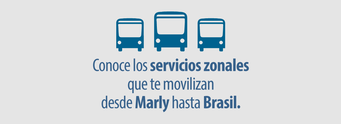 Con estas rutas zonales pueden ir de Marly a Brasil