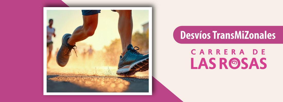Desvios TransMiZonales por carrera de las Rosas 2025