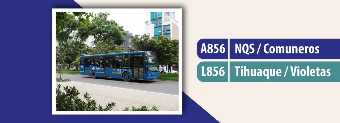 Ruta TransMiZonal 256 cambia de nombre y modifica su recorrido